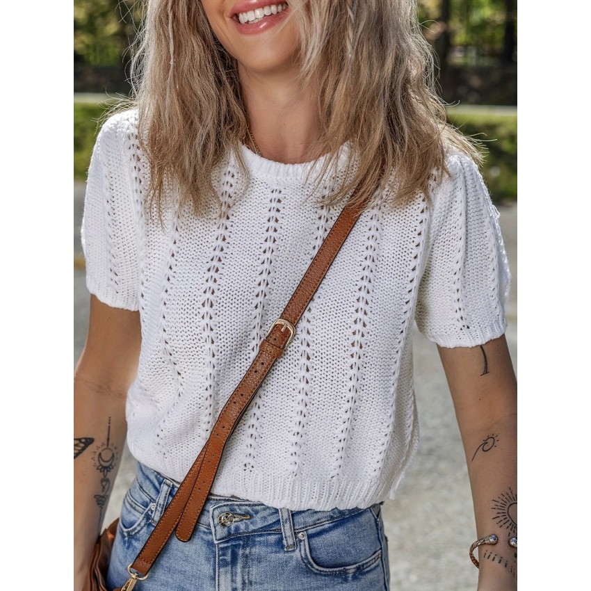 Stylish French-style Crew-neck Mesh Hollow-out Knit Short-sleeve Top Stylish French-style Crew-neck Mesh Hollow-out Knit Short-sleeve Top